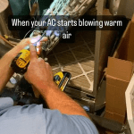 image_2025-02-28_100756031